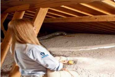  - $100 Off Insulation Services