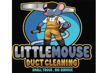 Little Mouse Duct Cleaning