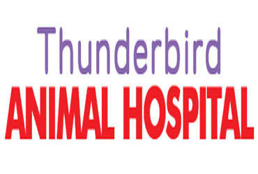 Thunderbird Animal Hospital